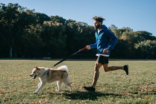The importance of exercise for pets
